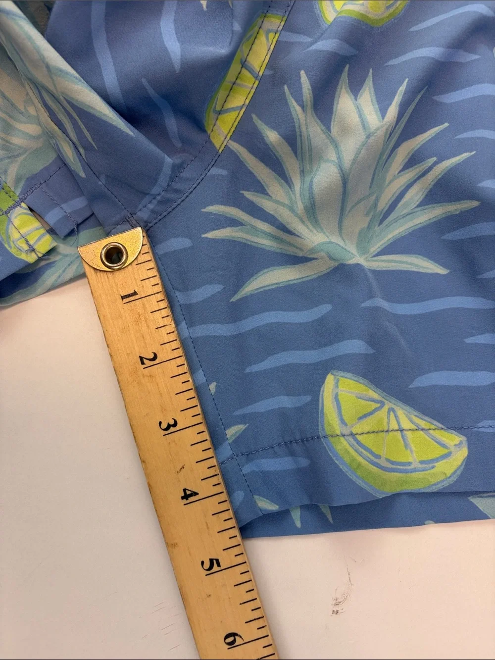 Chubbies  Blue Pineapple & Lime Print Men’s Swim Shorts